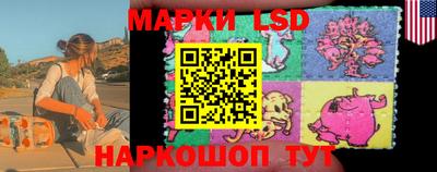 крисы Будённовск