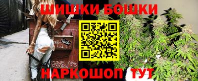 крисы Будённовск