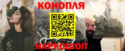 крисы Будённовск