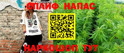 крисы Будённовск