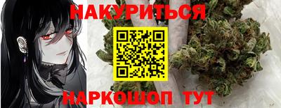 крисы Будённовск