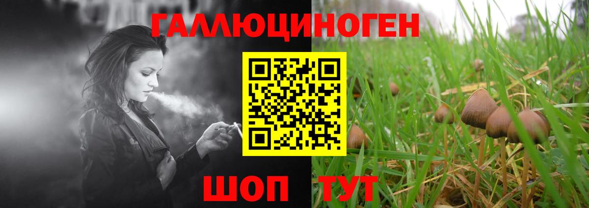 Псилоцибиновые грибы Psilocybine cubensis Хабаровск